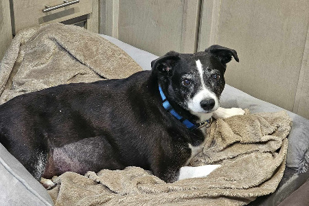 Overnight visit with Igor