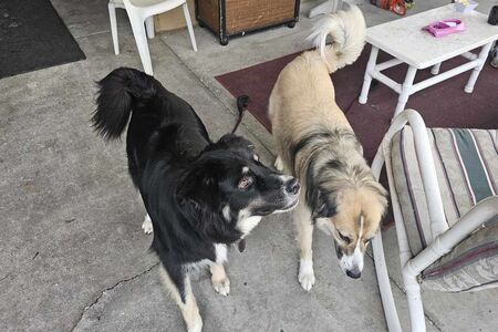 Home visit with Hans and Grace